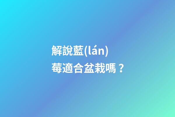 解說藍(lán)莓適合盆栽嗎？